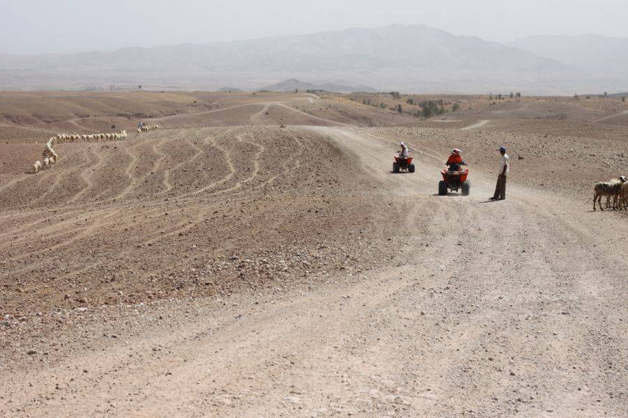 ATV nel deserto roccioso Agafay di Marrakech