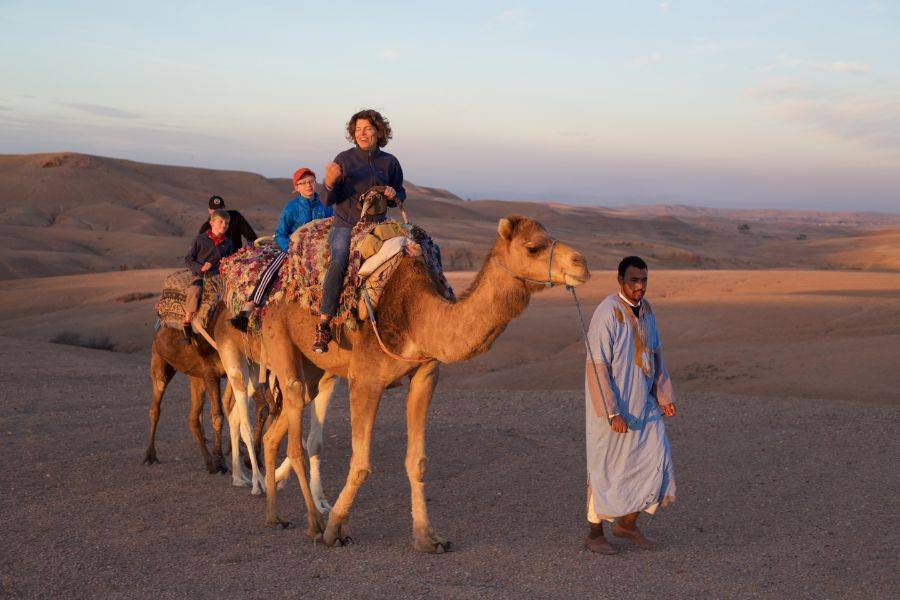 Esperienza di giro in cammello al tramonto nel deserto roccioso di Agafay