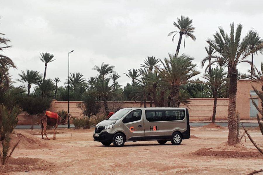 Giro in cammello e quad in Marrakech Palmeraie