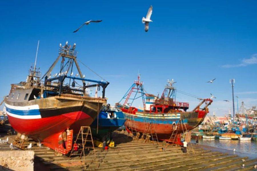 Viaggio di 2 giorni nella splendida città di Essaouira (Mogador)