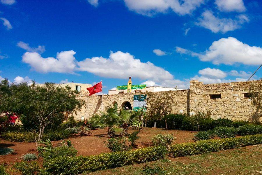 Viaggio di 2 giorni nella splendida città di Essaouira (Mogador)
