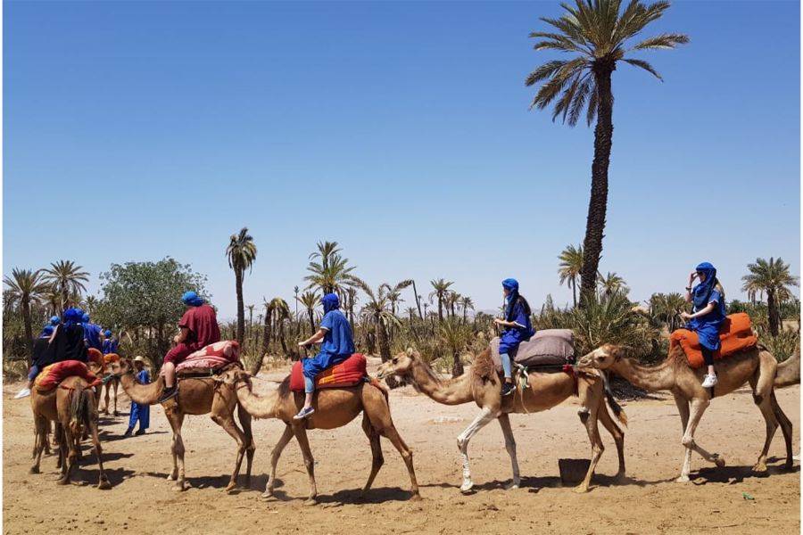 Passeggiata in carrozzina di adrenalina e giro in cammello al Palmeraie Marrakech