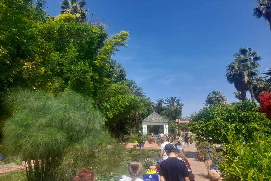 Un bellissimo tour con carrozza e visite al giardino Majorelle
