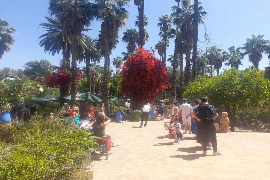 Un bellissimo tour con carrozza e visite al giardino Majorelle