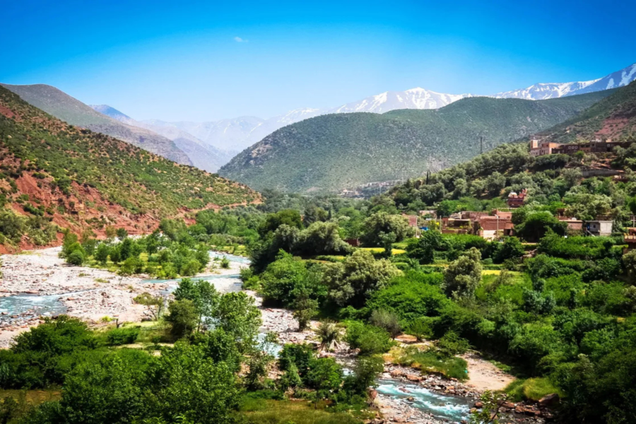 Montagna dell'Alto Atlante con visita alla moschea di Tinmel