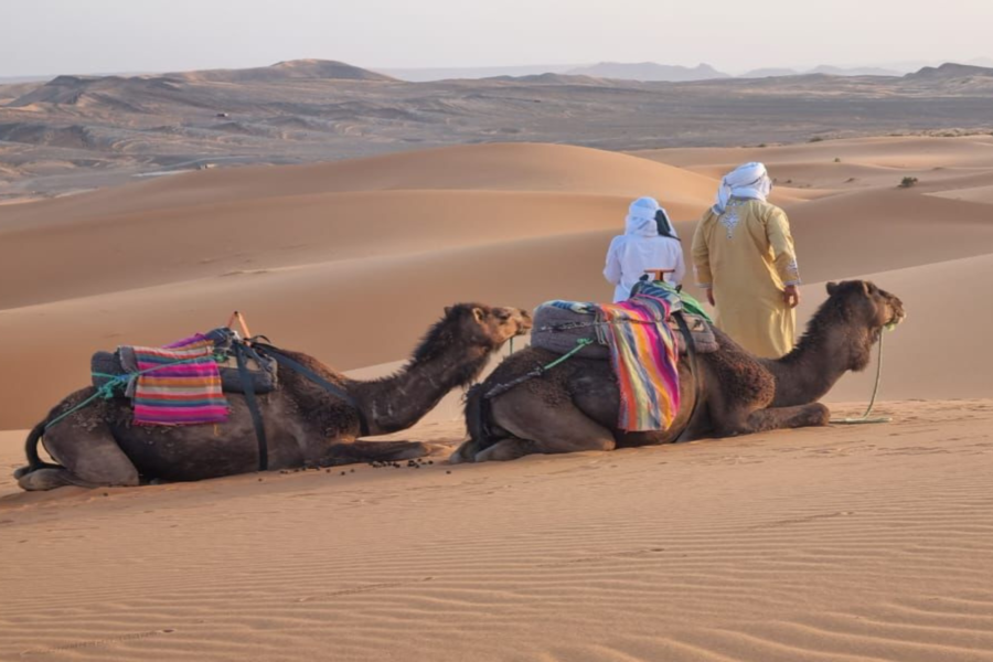 Merzouga: 3 giorni di viaggio nel deserto da Marrakech a Fez