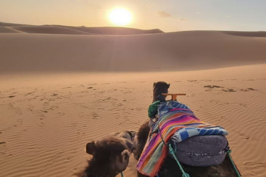 Merzouga: 3 giorni di viaggio nel deserto da Marrakech a Fez
