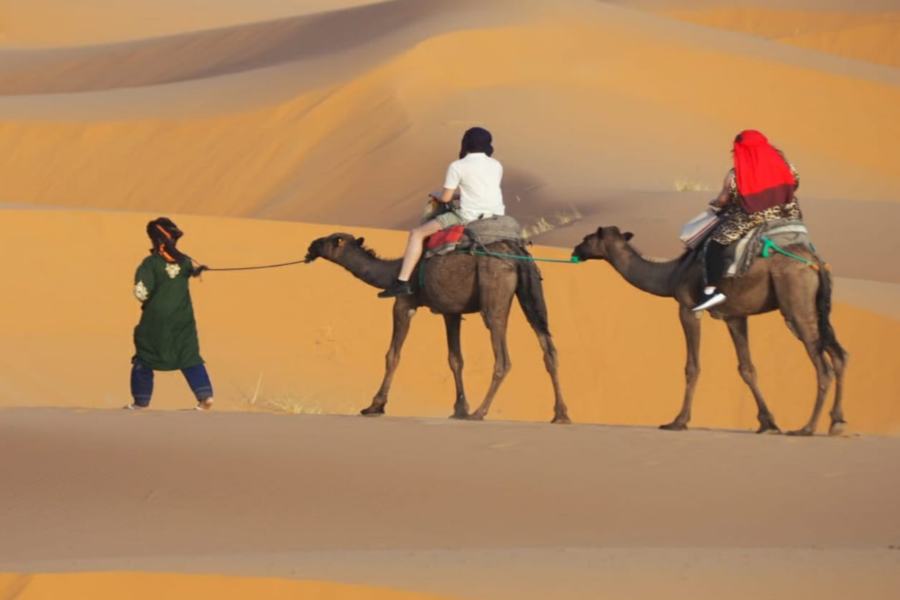 Merzouga: 3 giorni di viaggio nel deserto da Marrakech a Fez