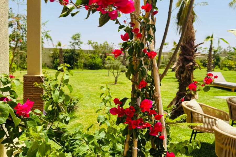 Pass giornaliero per Marrakech con piscina, pranzo e navetta inclusi - Relax