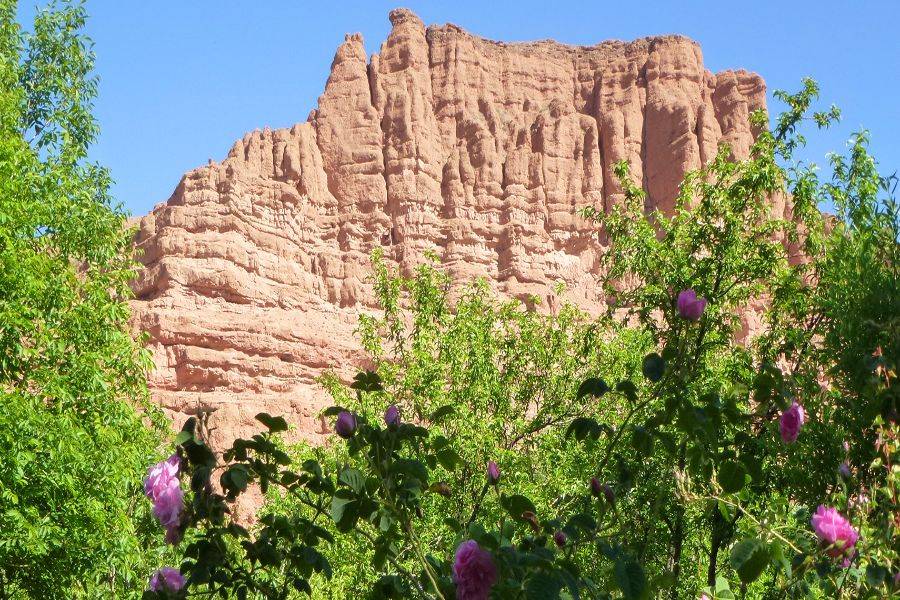 Fez: tour del deserto di 4 giorni a Marrakech