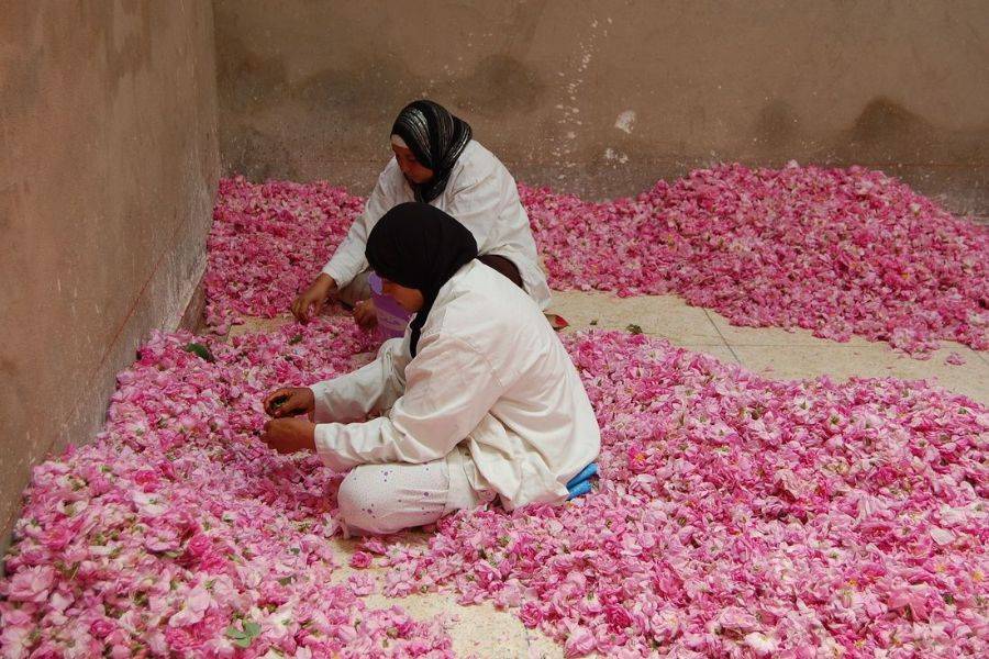 Fez: tour del deserto di 4 giorni a Marrakech