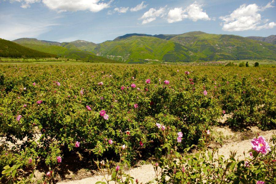 Fez: tour del deserto di 4 giorni a Marrakech
