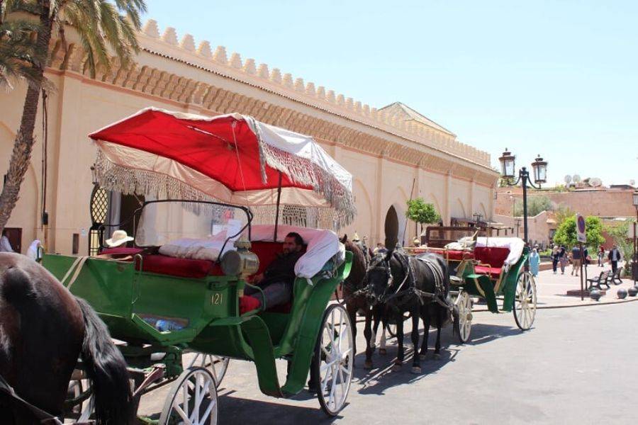 Un bellissimo tour con carrozza e visite al giardino Majorelle