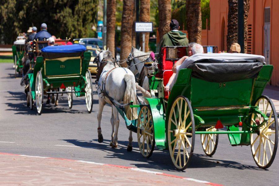 Un bellissimo tour con carrozza e visite al giardino Majorelle