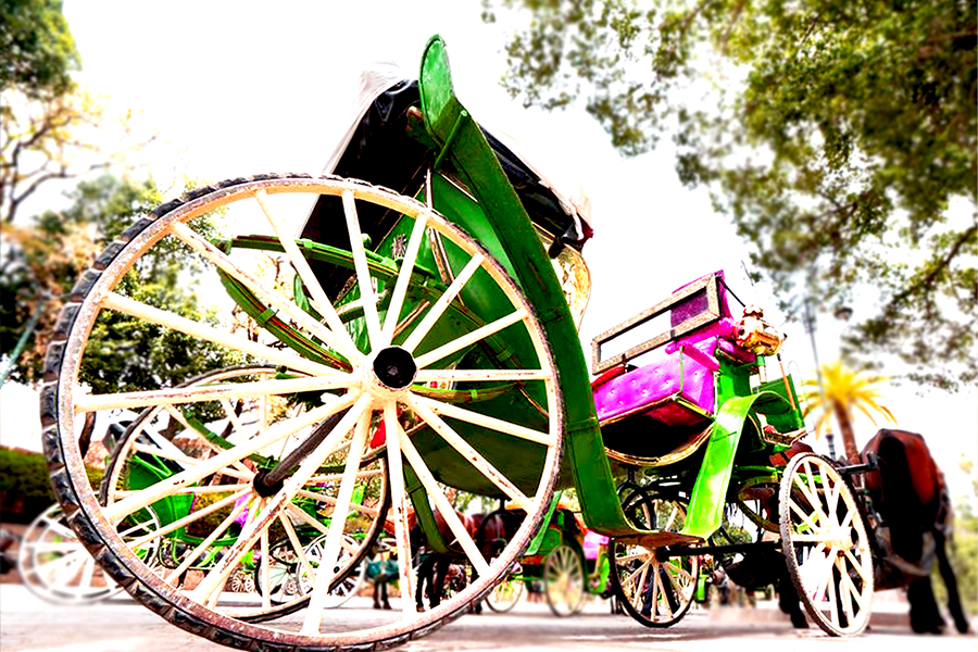 Un bellissimo tour con carrozza e visite al giardino Majorelle