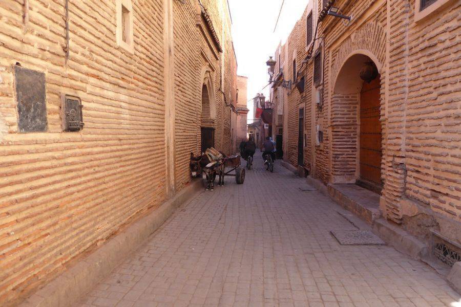 Tour dei giardini storici e dei bastioni di Marrakech