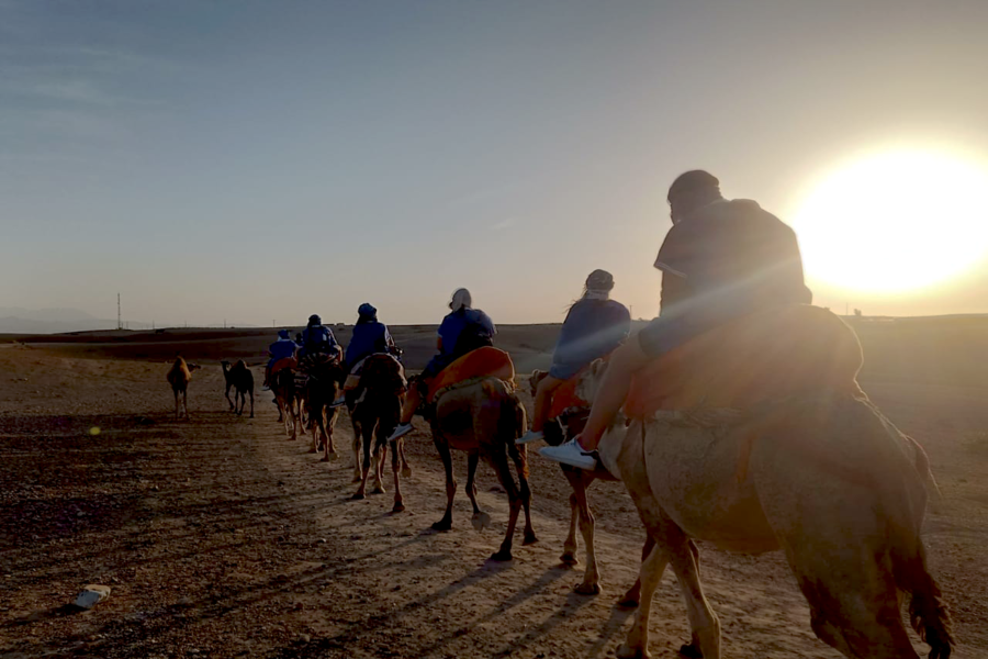 Esperienza di giro in cammello al tramonto nel deserto roccioso di Agafay