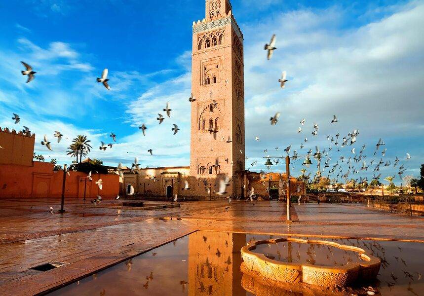 Tour dei giardini storici e dei bastioni di Marrakech