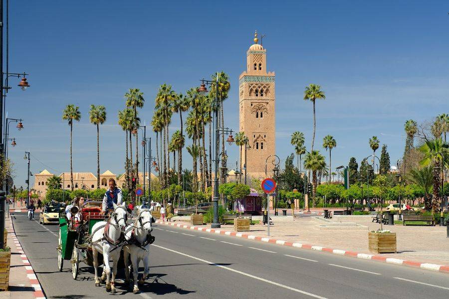 Tour dei giardini storici e dei bastioni di Marrakech