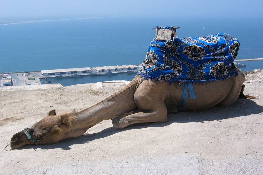 Gita di un giorno ad Agadir da Marrakech
