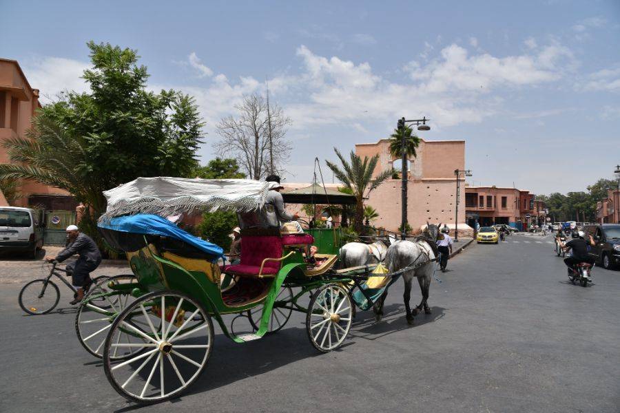 Un bellissimo tour con carrozza e visite al giardino Majorelle