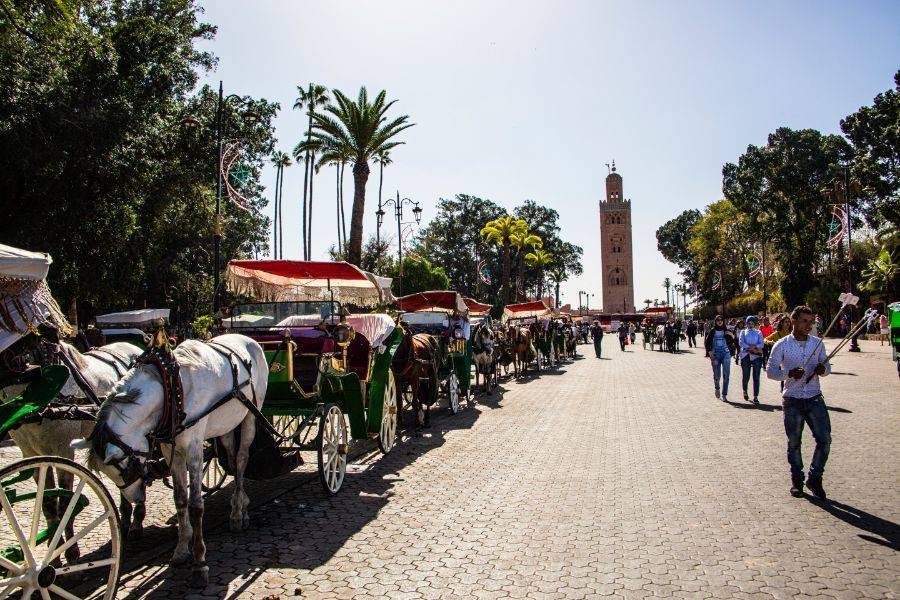 Un bellissimo tour con carrozza e visite al giardino Majorelle