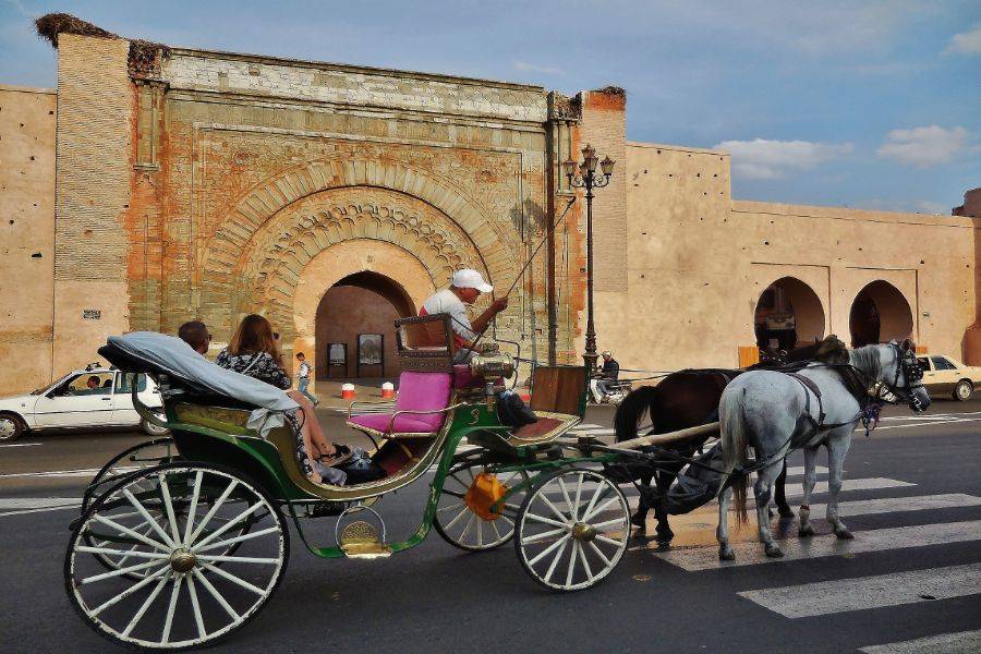 Un bellissimo tour con carrozza e visite al giardino Majorelle