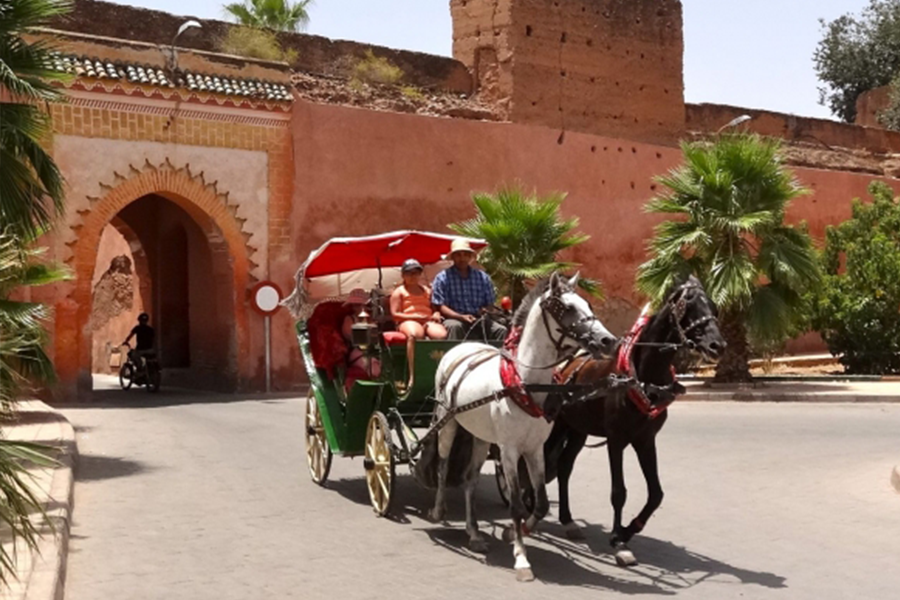 Un bellissimo tour con carrozza e visite al giardino Majorelle