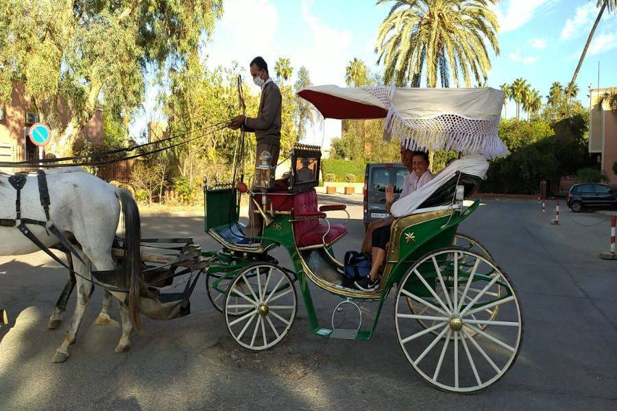 Un bellissimo tour con carrozza e visite al giardino Majorelle