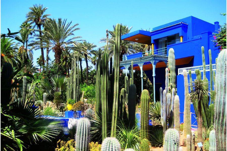 Un bellissimo tour con carrozza e visite al giardino Majorelle