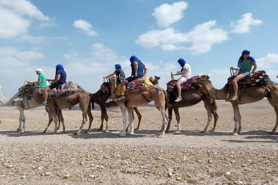 Esperienza di giro in cammello al tramonto nel deserto roccioso di Agafay