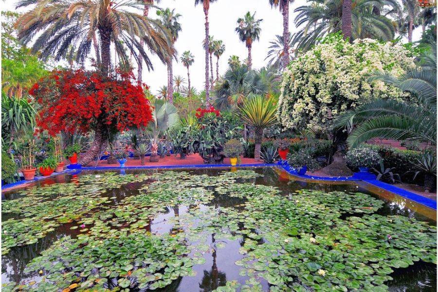 Un bellissimo tour con carrozza e visite al giardino Majorelle
