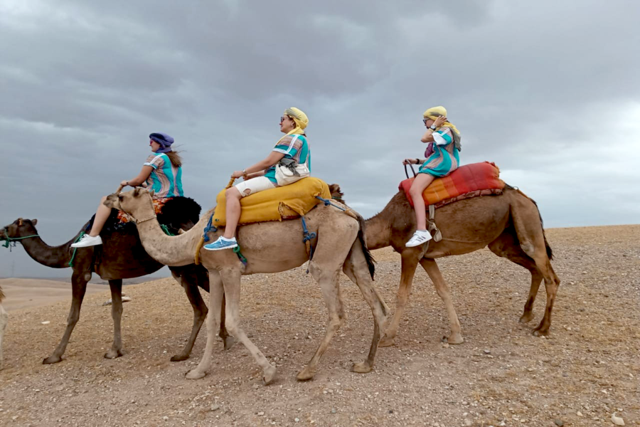 Esperienza di giro in cammello al tramonto nel deserto roccioso di Agafay