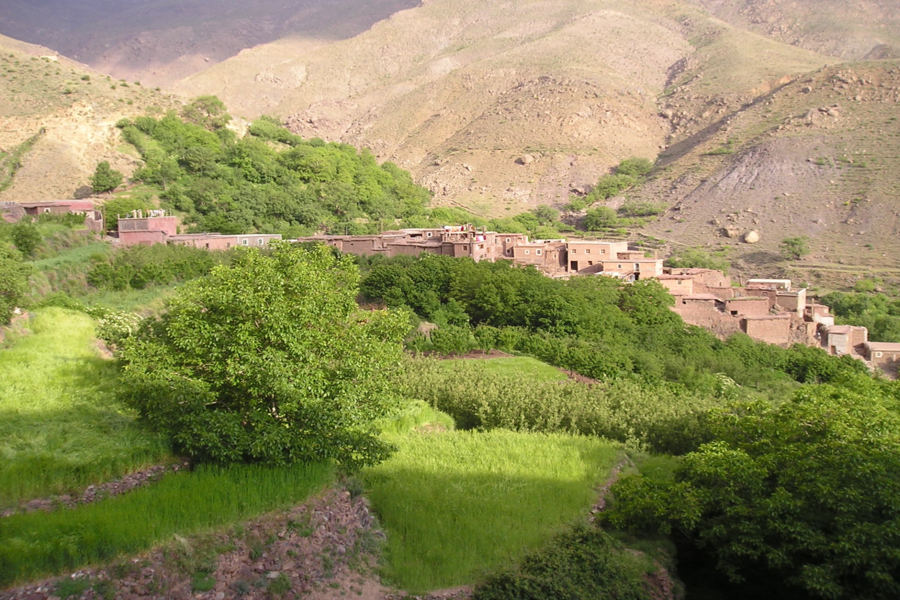 Gita di un giorno sulla montagna dell'Atlante con trekking in cammello al tramonto ad Agafay nel Sahara