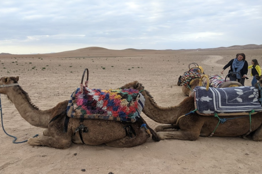 Tour del deserto notturno di Agafay per 2 giorni