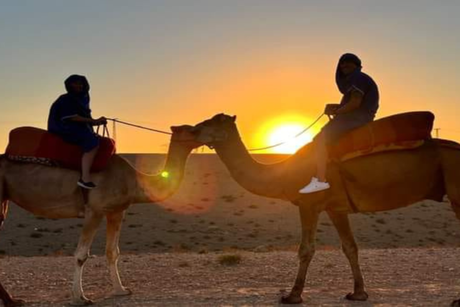 Gita di un giorno sulla montagna dell'Atlante con trekking in cammello al tramonto ad Agafay nel Sahara