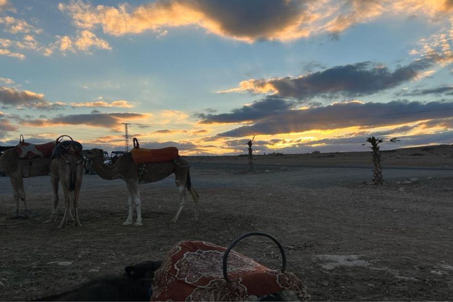 Gita di un giorno sulla montagna dell'Atlante con trekking in cammello al tramonto ad Agafay nel Sahara