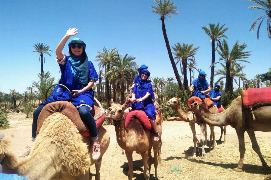 Passeggiata in carrozzina di adrenalina e giro in cammello al Palmeraie Marrakech