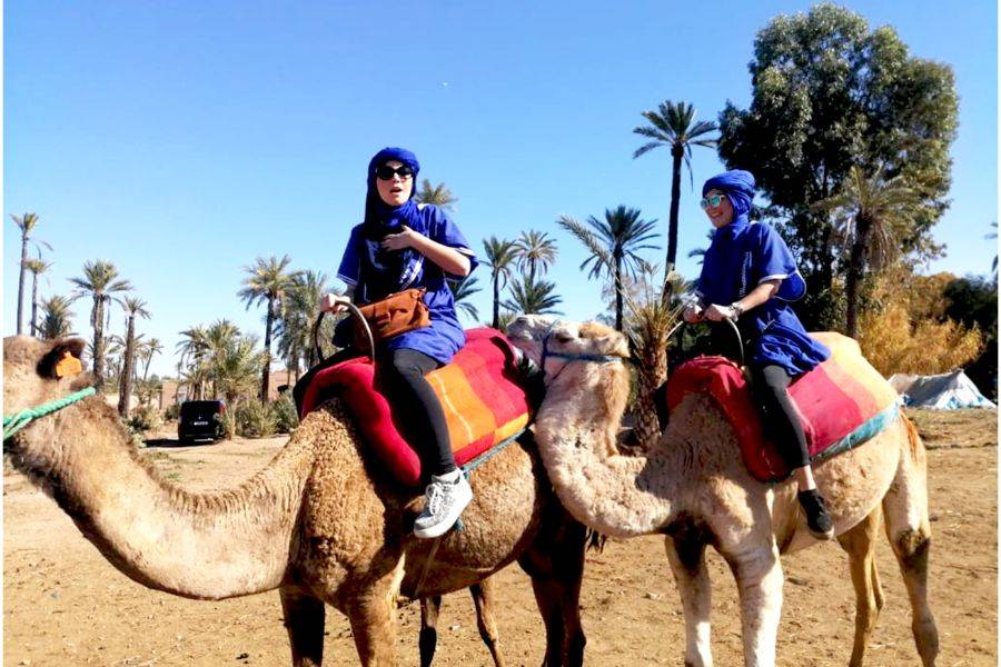 Giro in cammello nella Palmeraie di Marrakech