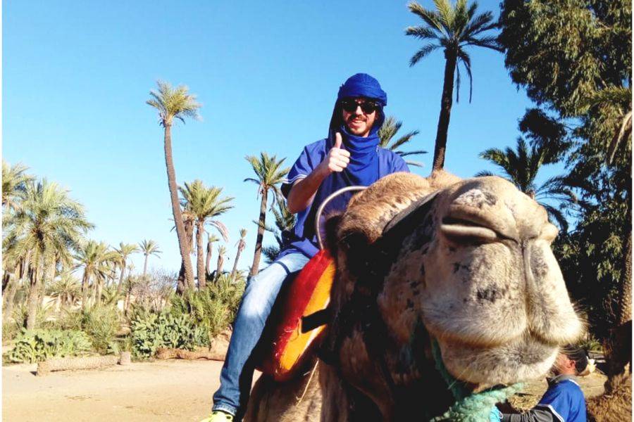 Giro in cammello e quad in Marrakech Palmeraie