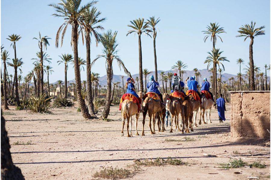 Giardino Majorelle con un giro in cammello tra le palme