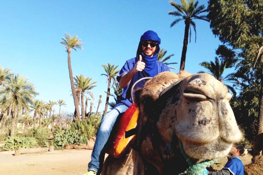 Passeggiata in carrozzina di adrenalina e giro in cammello al Palmeraie Marrakech