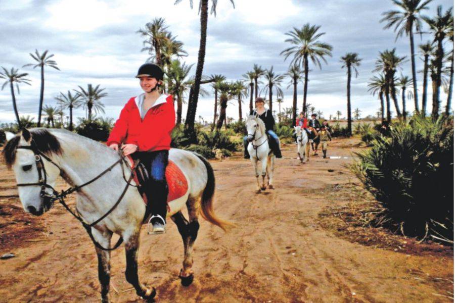 Giro a cavallo a Marrakech Palmeraie