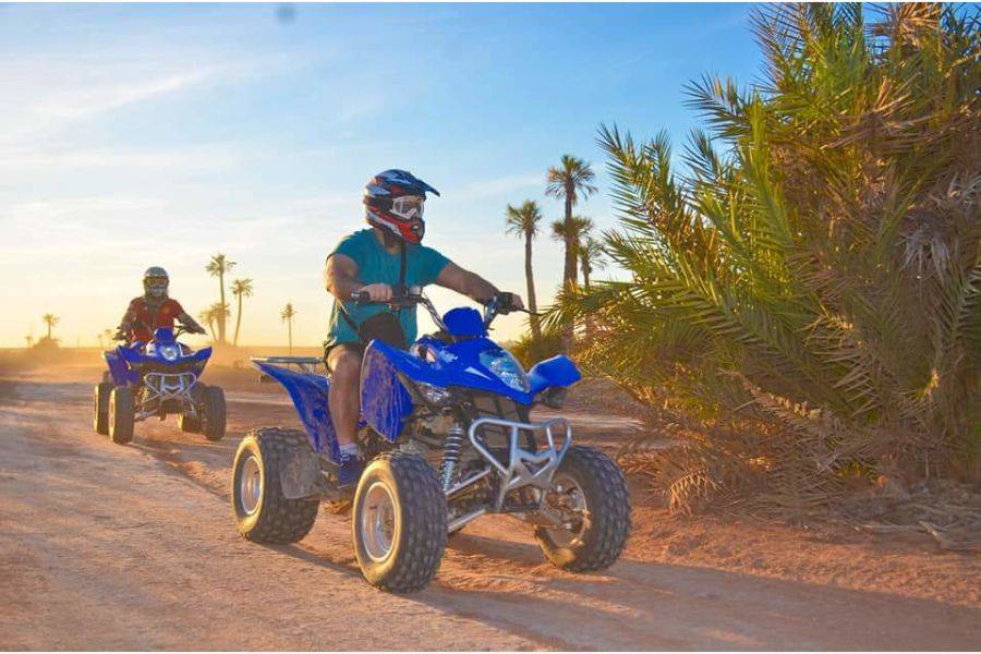 Giro in cammello e quad in Marrakech Palmeraie
