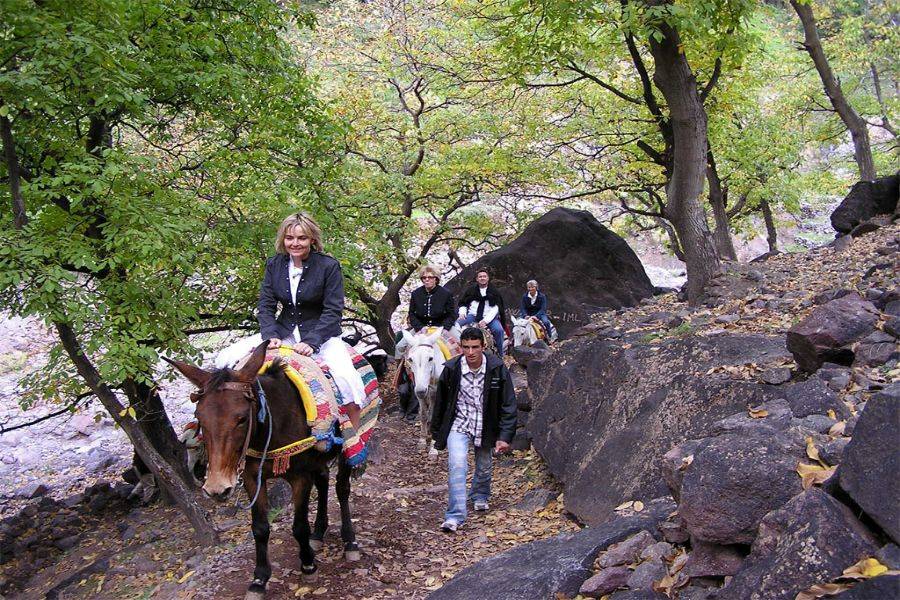 Excursão a Asni e Imlil com um delicioso almoço no Kasbah Toubkal
