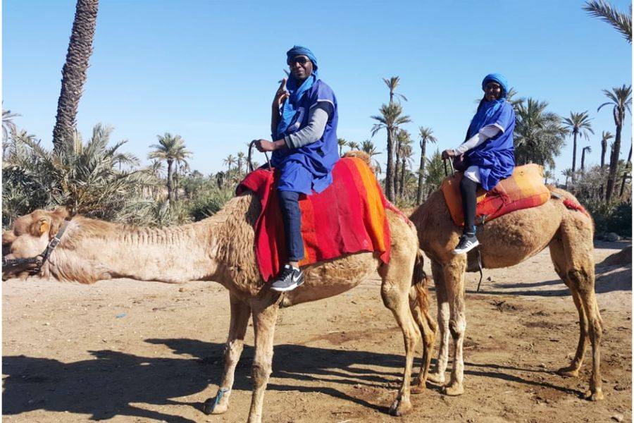 Giro in cammello e quad in Marrakech Palmeraie