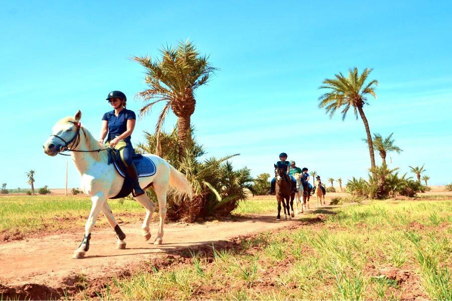 Giro a cavallo a Marrakech Palmeraie
