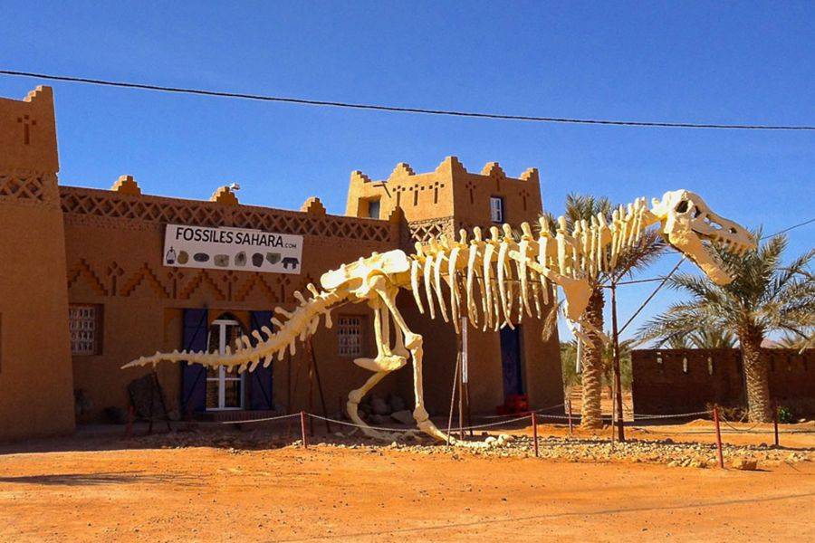 Escursione nel deserto di Merzouga 4 giorni al giorno d'Agadir