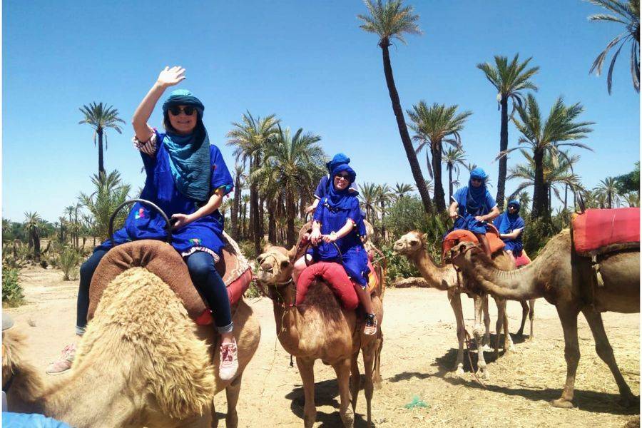 Giro in cammello nella Palmeraie di Marrakech