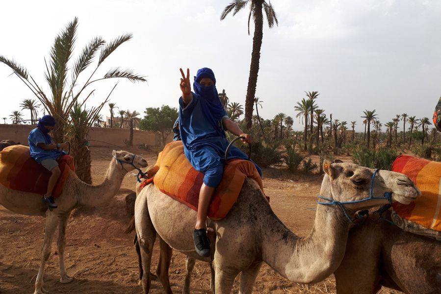 Giro in cammello nella Palmeraie di Marrakech